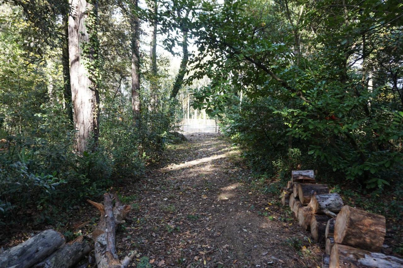 Le Clos Des Troubadours Pennautier Esterno foto