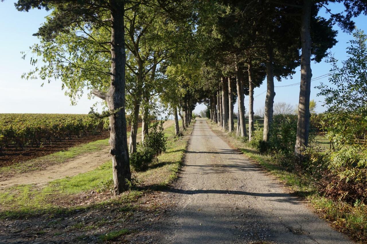 Le Clos Des Troubadours Pennautier Esterno foto